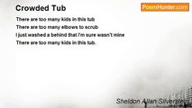 Sheldon Allan Silverstein - Crowded Tub