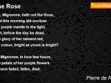 Pierre de Ronsard - The Rose