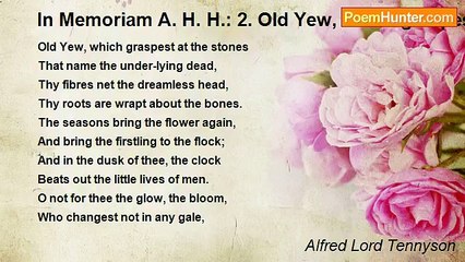 Alfred Lord Tennyson - In Memoriam A. H. H.: 2. Old Yew, which graspest at the sto