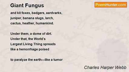Charles Harper Webb - Giant Fungus