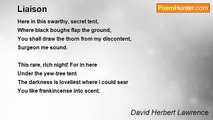 David Herbert Lawrence - Liaison