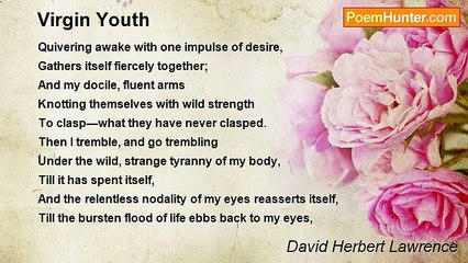 David Herbert Lawrence - Virgin Youth