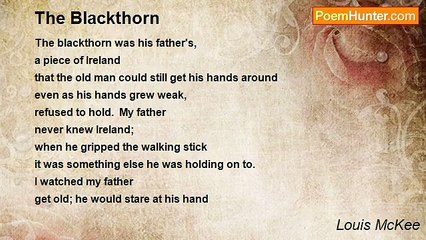 Louis McKee - The Blackthorn