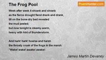 James Martin Devaney - The Frog Pool