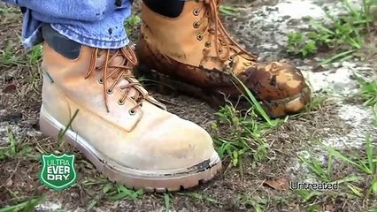 Power of Nanotechnology Video #Blow Mind