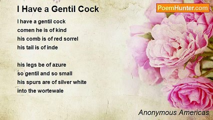 Anonymous Americas - I Have a Gentil Cock