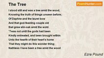Ezra Pound - The Tree