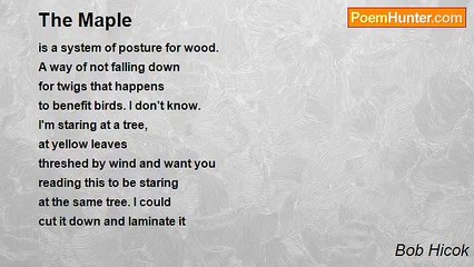 Bob Hicok - The Maple