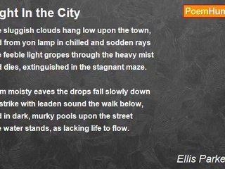 Ellis Parker Butler - Night In the City