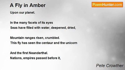 Pete Crowther - A Fly in Amber