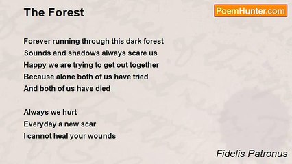 Fidelis Patronus - The Forest