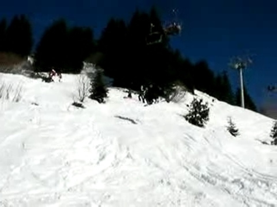 Saut
