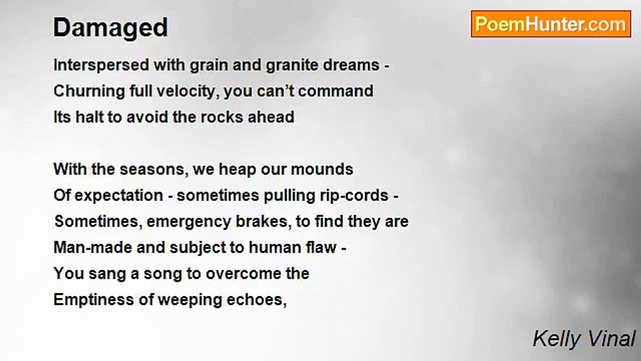 Kelly Vinal - Damaged