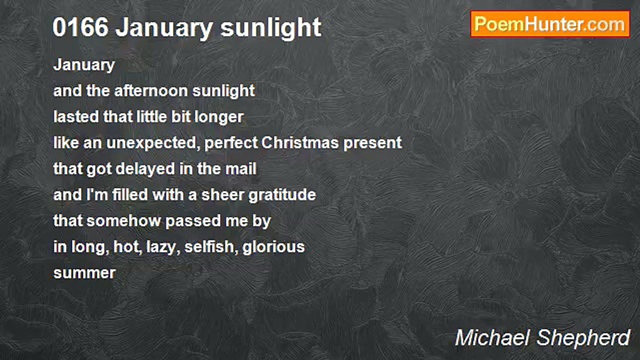 Michael Shepherd - 0166 January sunlight