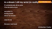 Amberlee Carter - in a dream I slit my wrist (in reality, I'm not that strong)