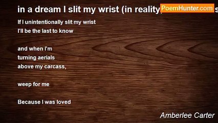 Amberlee Carter - in a dream I slit my wrist (in reality, I'm not that strong)