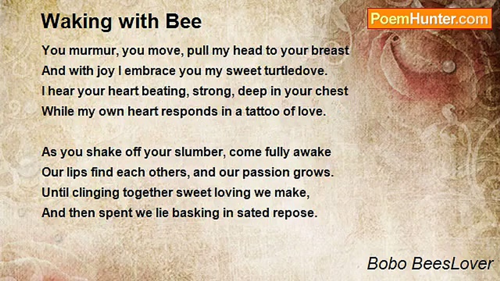 Bobo BeesLover - Waking with Bee