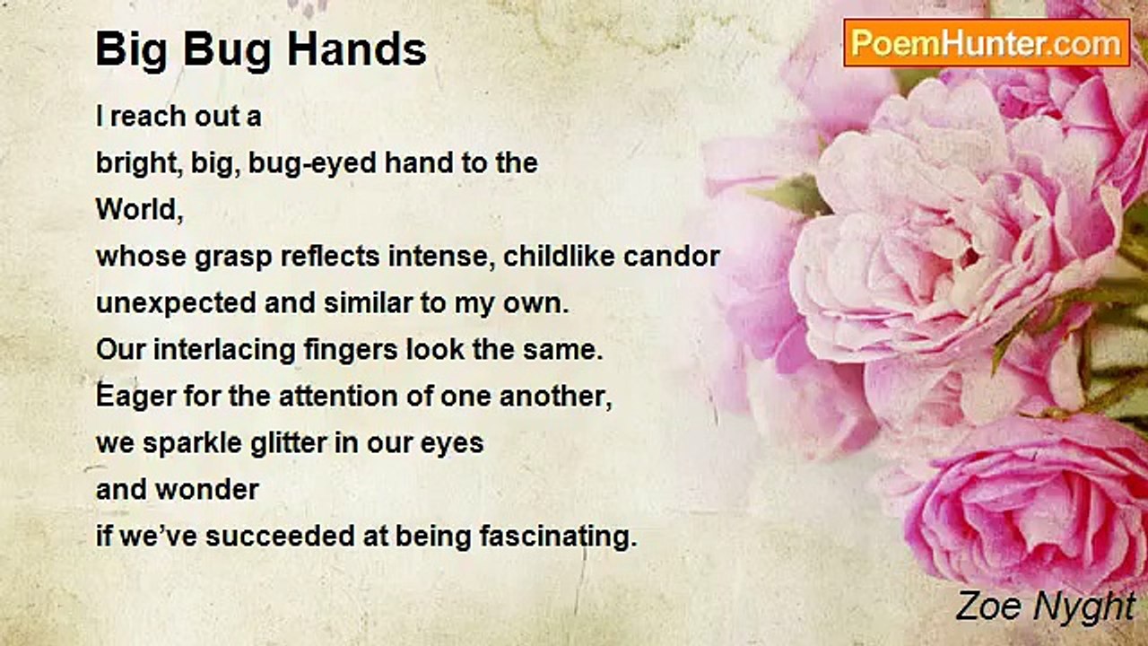 Zoe Nyght - Big Bug Hands