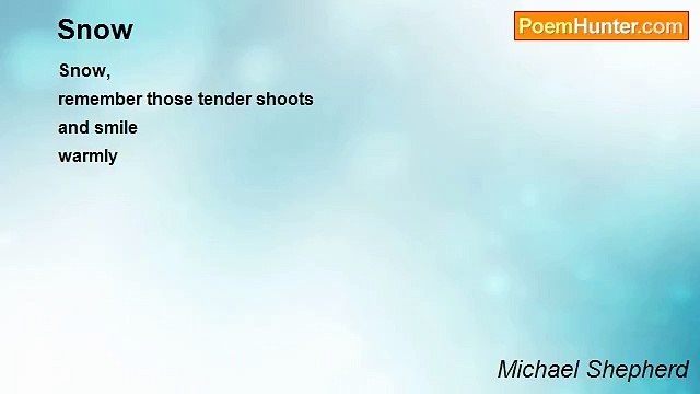 Michael Shepherd - Snow