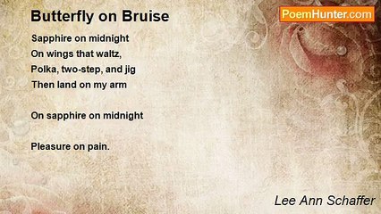 Lee Ann Schaffer - Butterfly on Bruise