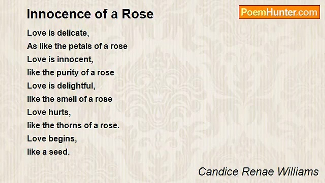 Candice Renae Williams - Innocence of a Rose
