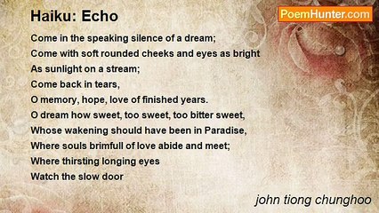 john tiong chunghoo - Haiku: Echo