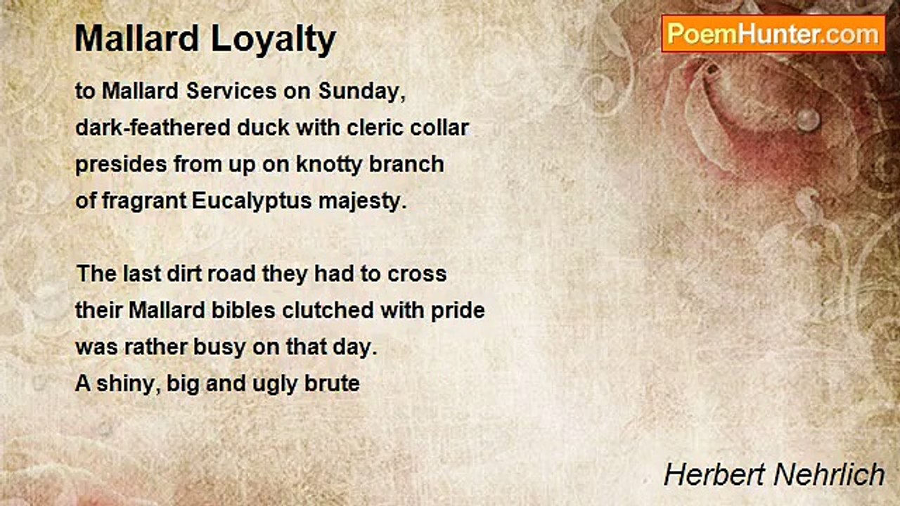 Herbert Nehrlich - Mallard Loyalty