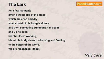 Mary Oliver - The Lark