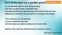 Michael Shepherd - 0372 Reflection on a garden pond