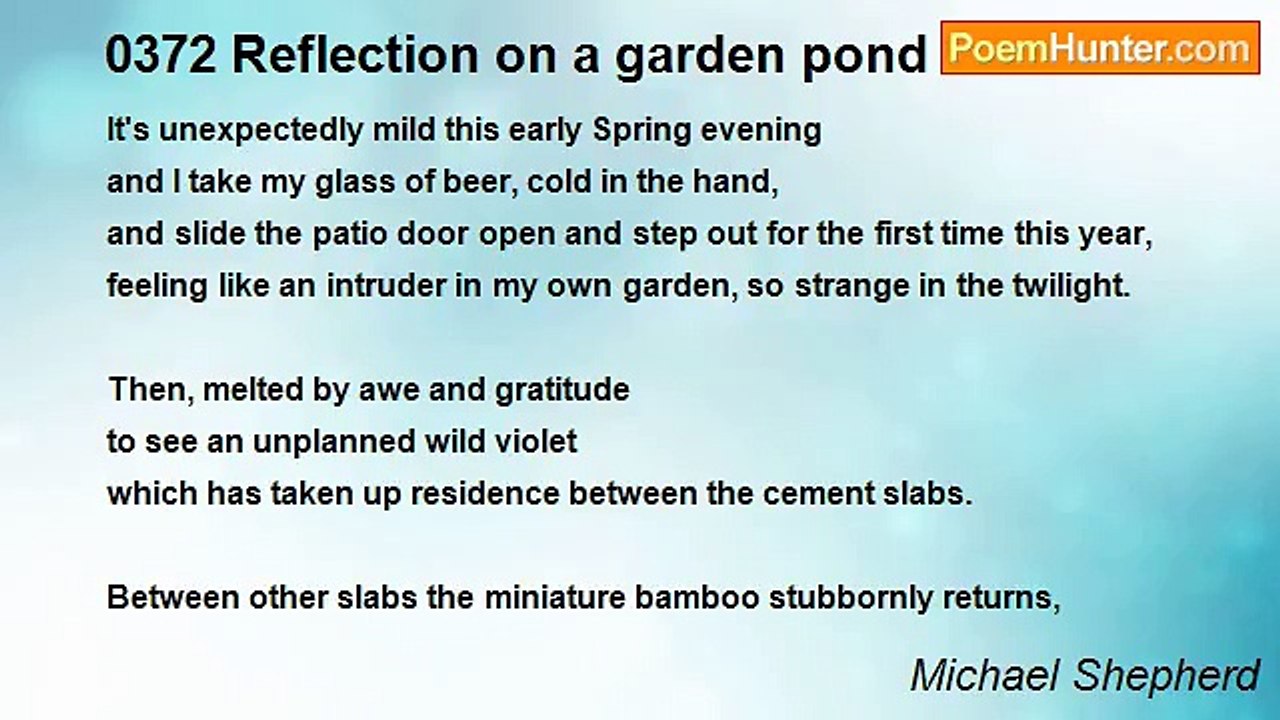 Michael Shepherd - 0372 Reflection on a garden pond