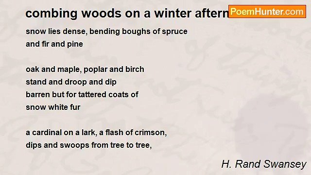 H. Rand Swansey - combing woods on a winter afternoon