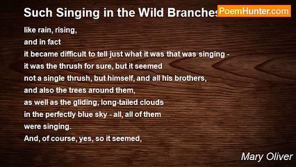 Mary Oliver - Such Singing in the Wild Branches