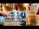 Bulk Durum Wheat Export, Durum Wheat Export, Durum Wheat Export, Durum Wheat Export, Durum