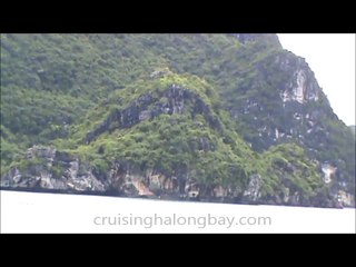 best ha long bay tourt