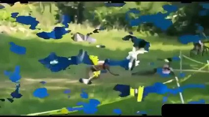 [+18 ~ Sexy Funny Girl]Funny Videos - Fail Compilation, Funny Pranks and Funny Cats Videos _ New Funny Video(8)