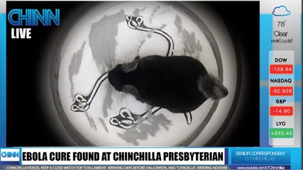 CHINN Breaking News: EBOLA CURE FOUND!
