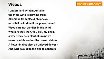 Herbert Nehrlich - Weeds