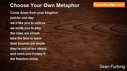 Sean Furlong - Choose Your Own Metaphor