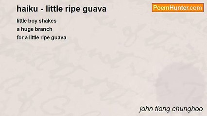 john tiong chunghoo - haiku - little ripe guava