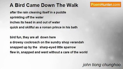 john tiong chunghoo - A Bird Came Down The Walk