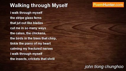 john tiong chunghoo - Walking through Myself