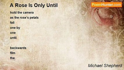 Michael Shepherd - A Rose Is Only Until