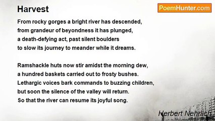 Herbert Nehrlich - Harvest