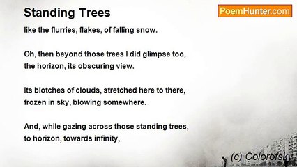 (c) Colorofsky - Standing Trees