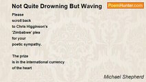 Michael Shepherd - Not Quite Drowning But Waving
