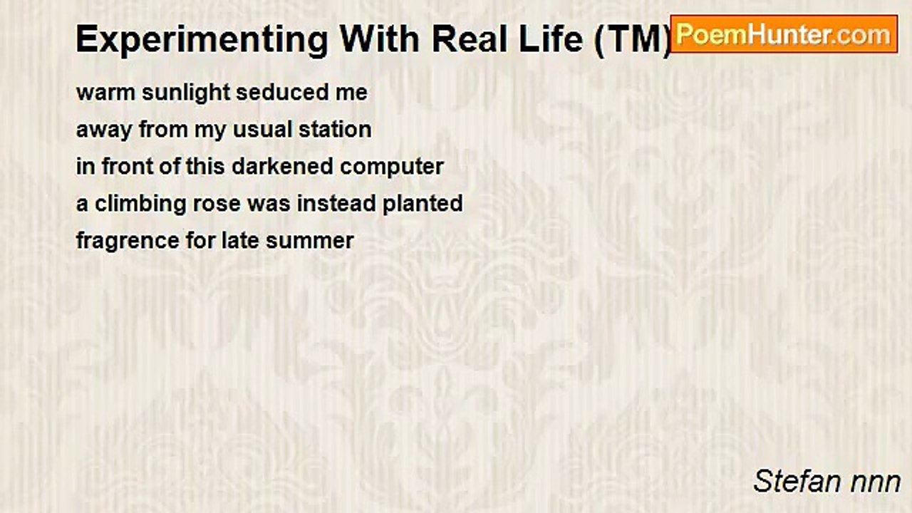 Stefan nnn - Experimenting With Real Life (TM)