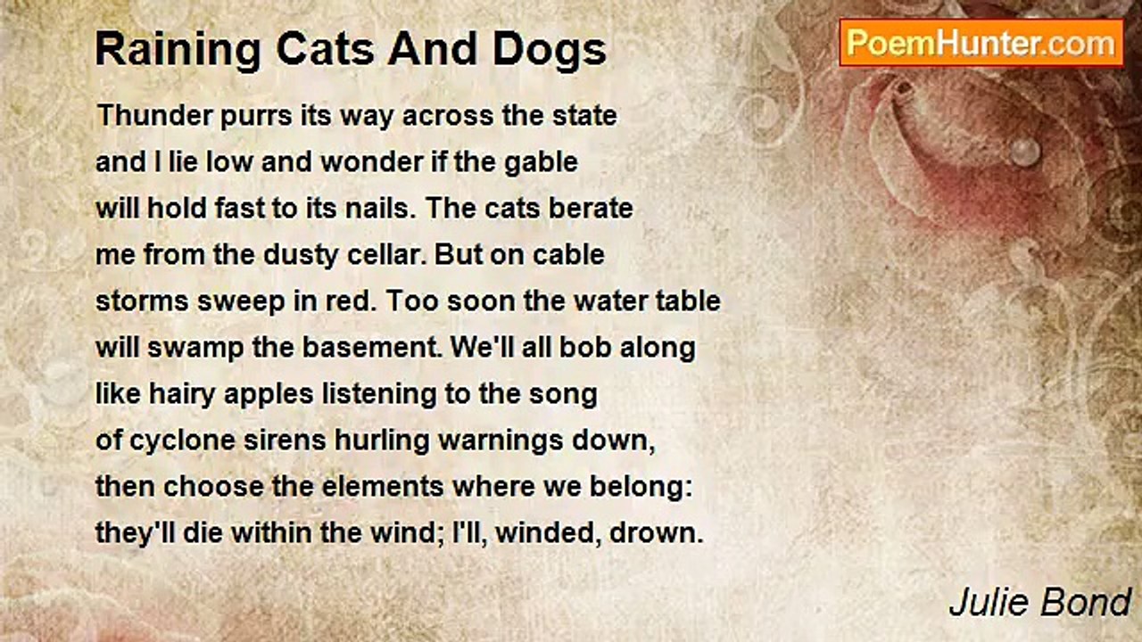 Julie Bond - Raining Cats And Dogs