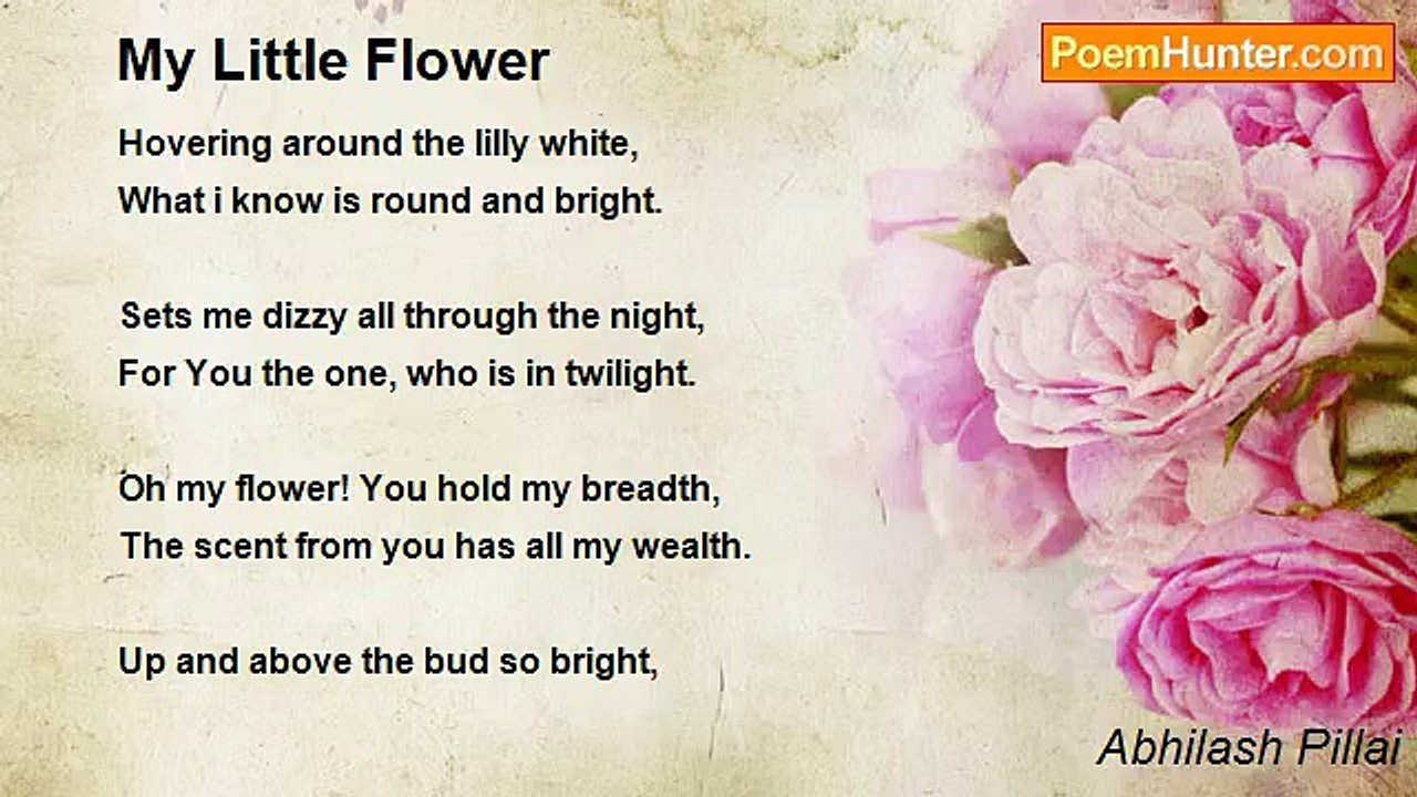 Abhilash Pillai - My Little Flower
