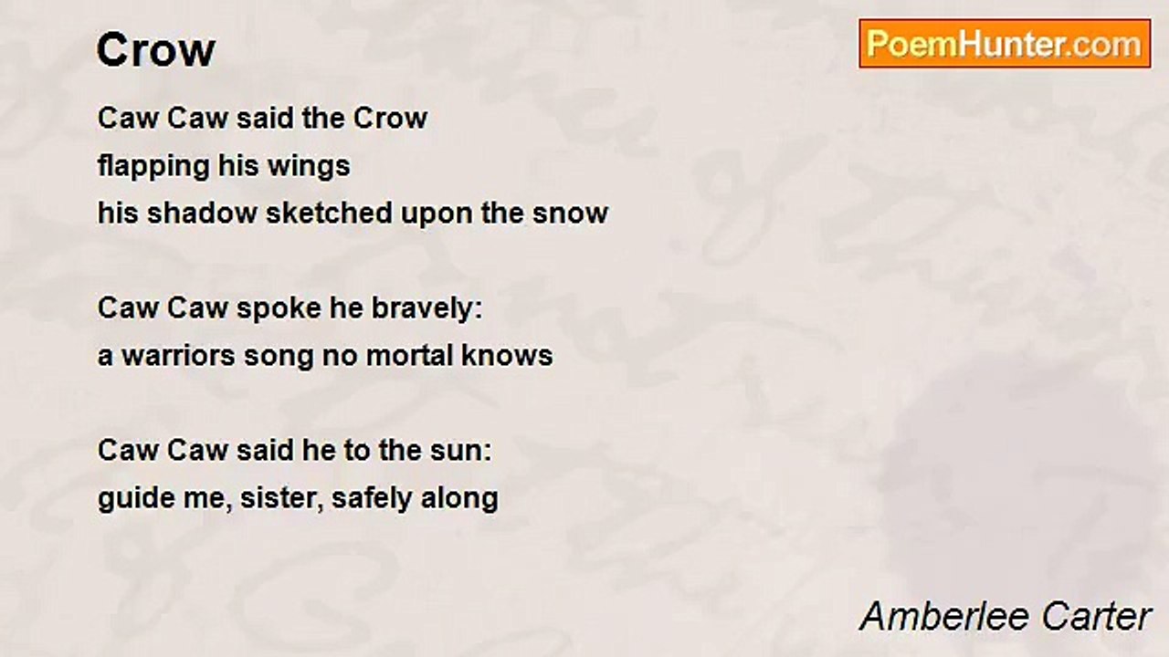 Amberlee Carter - Crow