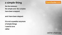celine charcoal - a simple thing